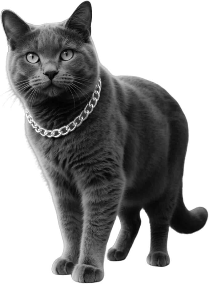 Excellent Silver Cat Chain Collar Adjustable Cuban Link Necklace Luxury