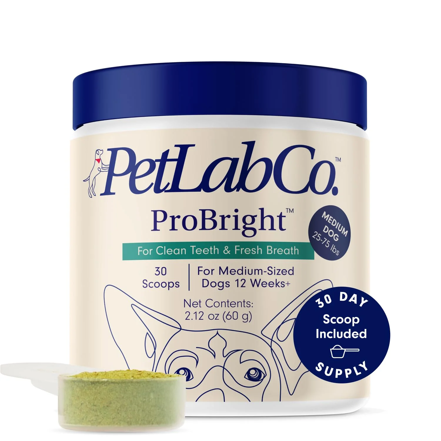 Eco-Friendly PetLab Co. ProBright Dental Powder for Dogs – Fresh Breath Tartar Control Medium Size Dogs Contemporary