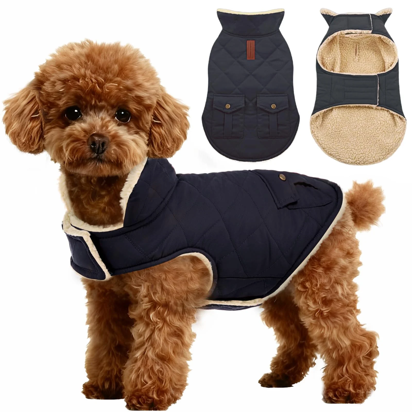 Expertly Made ASENKU Warm Dog Winter Coat – Waterproof Fleece-Lined Jacket with Leash Hole Pockets Navy Large Certified