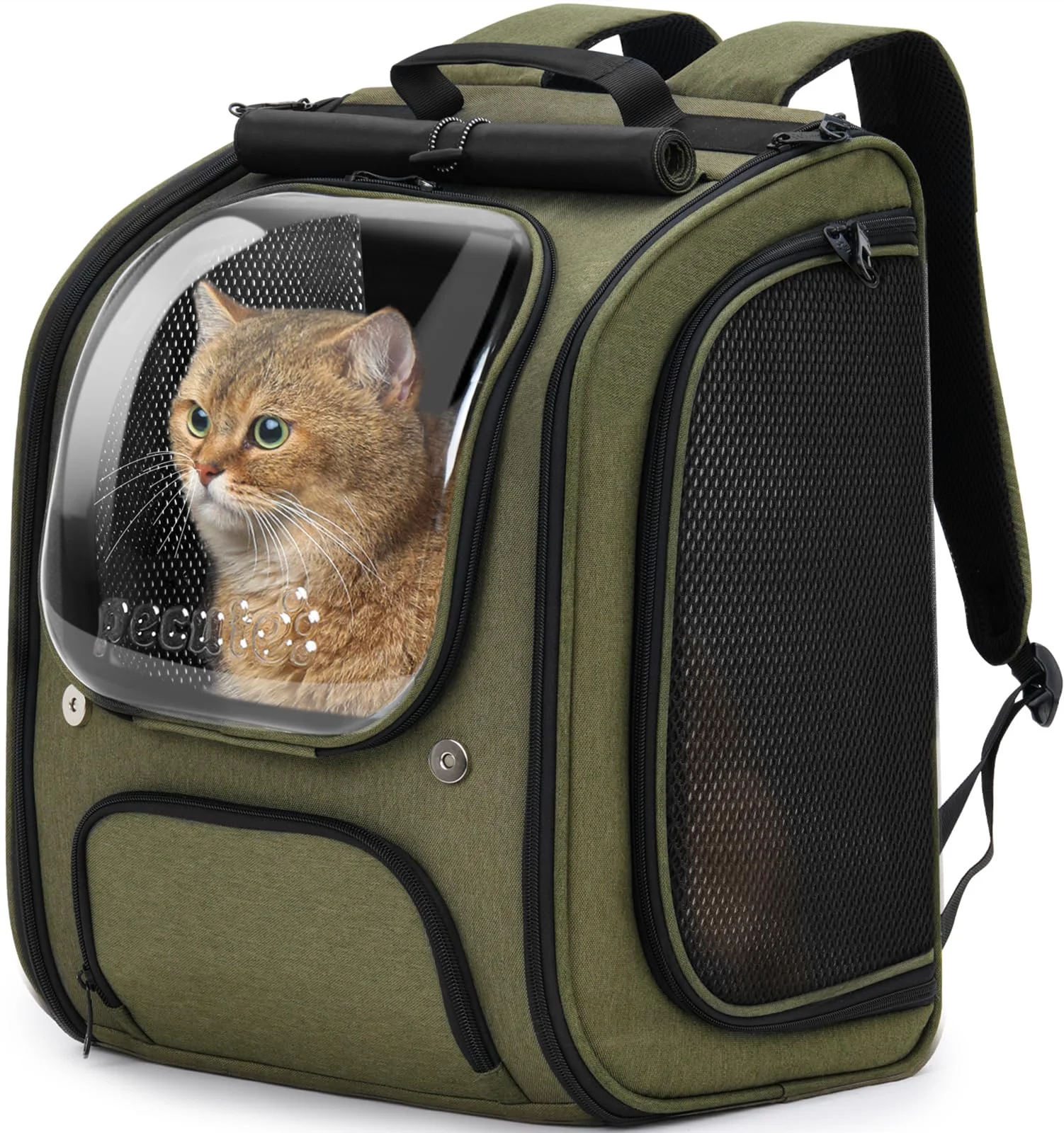 Certified Pecute Cat Backpack Carrier – Large Bubble Cat Backpack Breathable Ergonomic Travel Carrier Green Fashionable