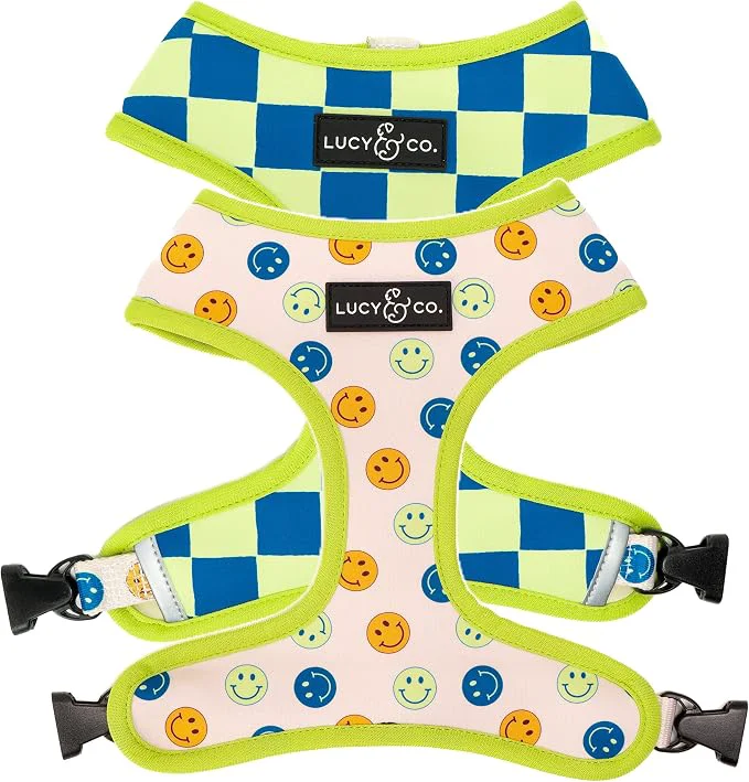 Advanced Lucy Co. Lime Green with Blue Checker Smiley Faces Cute Reversible Dog Pure