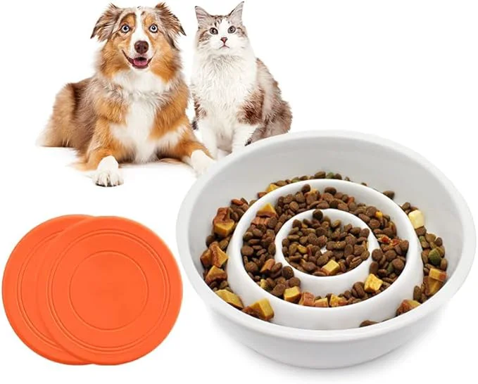 Traditional GH Ceramic Slow Feeder Dog Bowl 3 Cups 2 Pet Flying Discs Included - WhiteAbout ThisOverview Practical