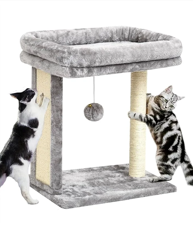 Authentic SYANDLVY Cat Tree with Scratching Post for Indoor Cats Scratching Board with Perch Cat Post Scratcher with 2 Dangling Balls Great for Kittens GreyAbout ThisOverview Healthy