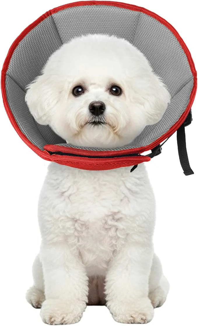 Eco-Friendly Dog Cone Collar Soft Cone for Medium Dogs After Surgery Adjustable Elizabethan Sustainable
