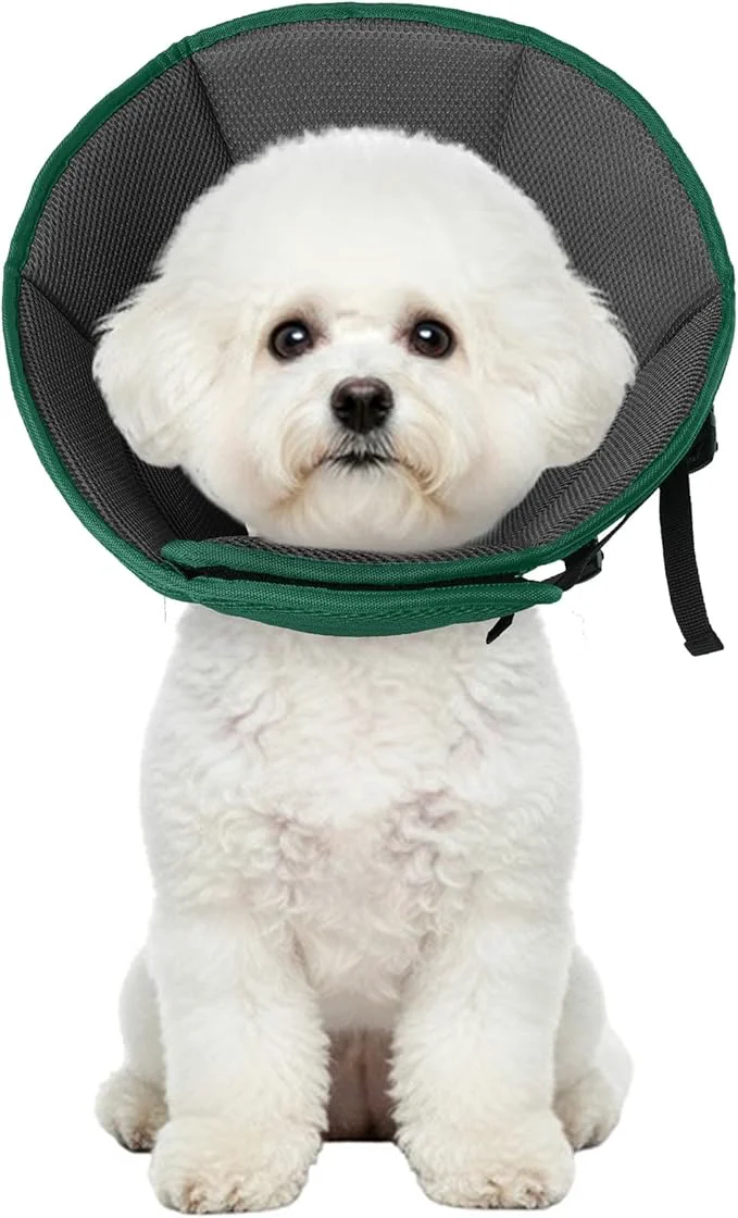 Sustainable Dog Cone Collar Soft Cone for Medium Dogs After Surgery Adjustable Elizabethan Advanced