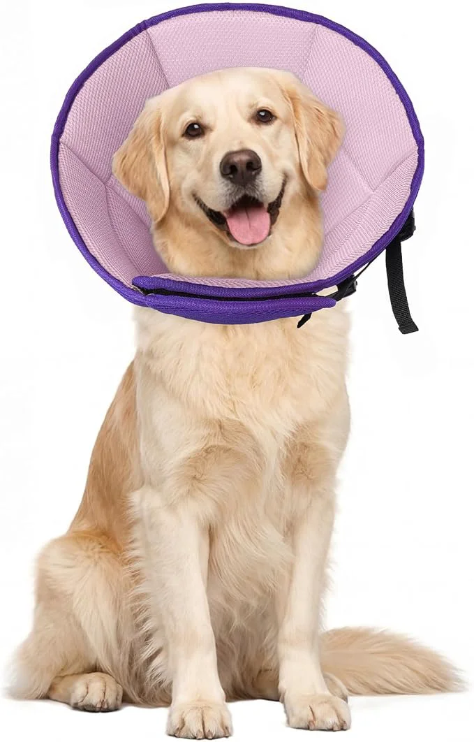 Prestigious Dog Cone for Large Dogs After Surgery Soft Dog Cone Collar for Dogs to Stop Relaxed