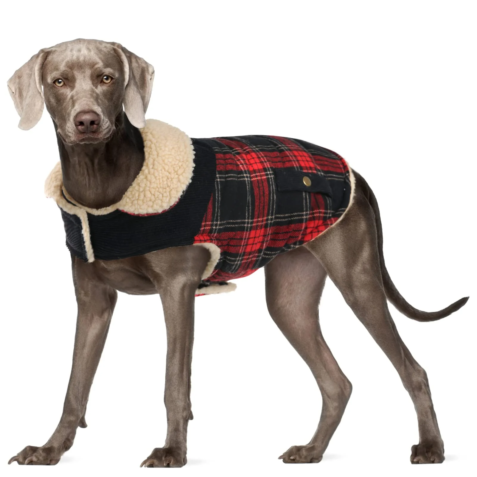 Enhanced Preferhouse Winter Coat for Small Medium Dogs Red Plaid Cotton Jacket Windproof Size L XS-XL Proven