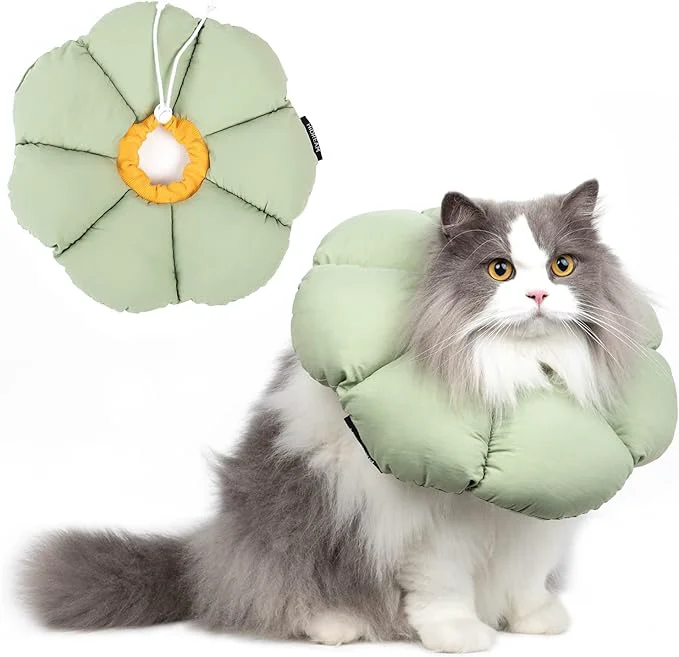 Green Cat Cone Collar Cute Waterproof Cat Recovery Collar Anti-Bite Lick Wound Sustainable