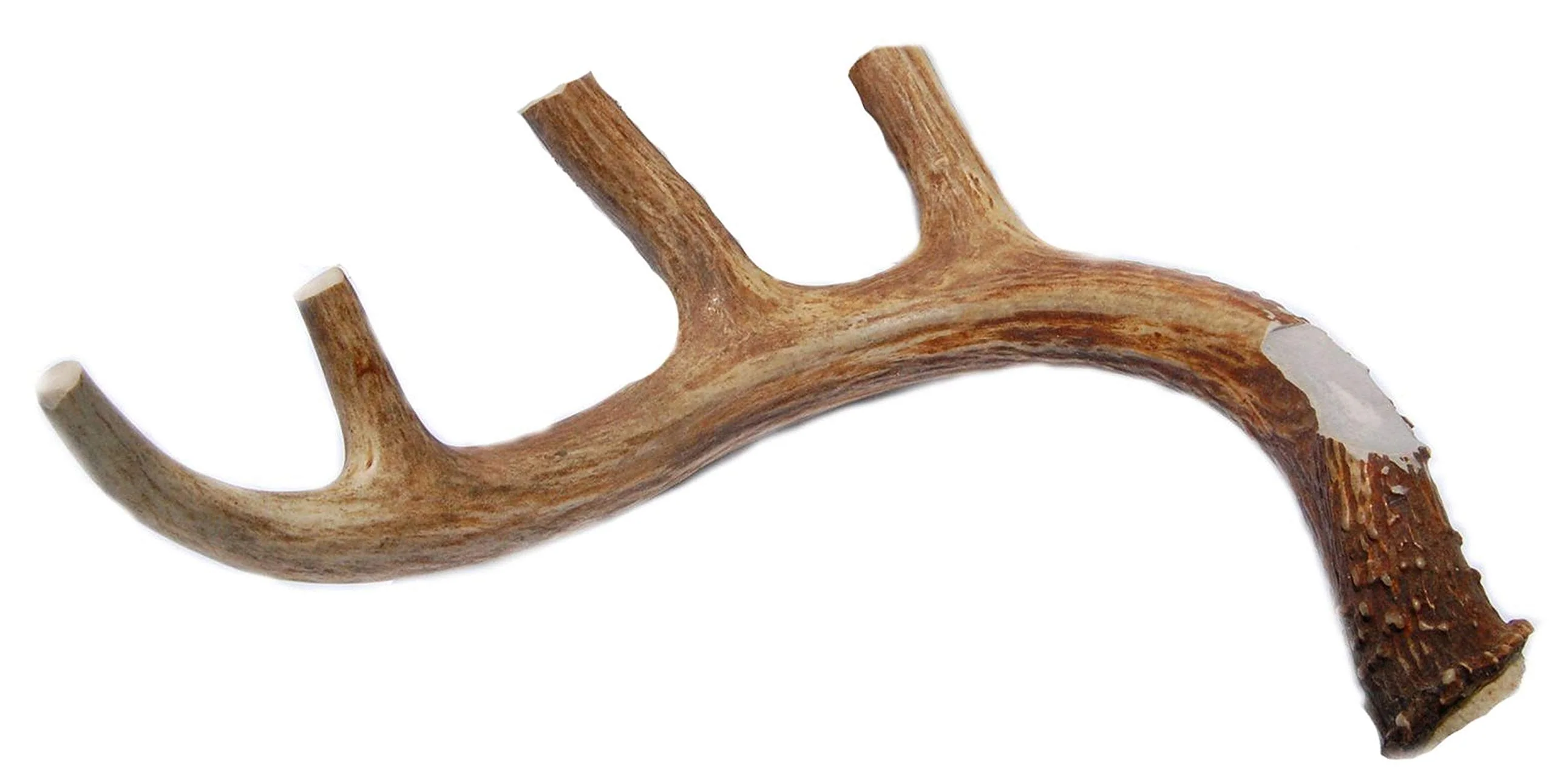 Optimized XL Deer Antler Dog Chew - Extra Large for Aggressive Chewers Big Dog Antler Chews Carefully Designed