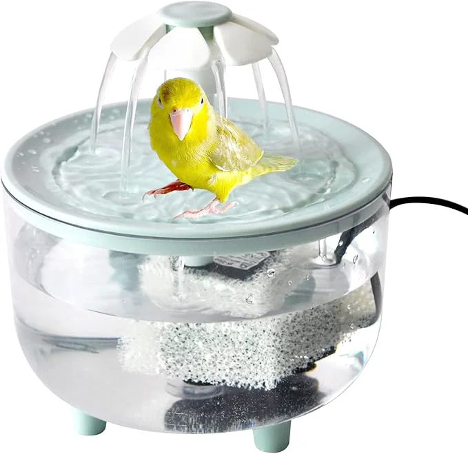 Unique Automatic Bath for Birds Parrot Bathtub Fine Crafted
