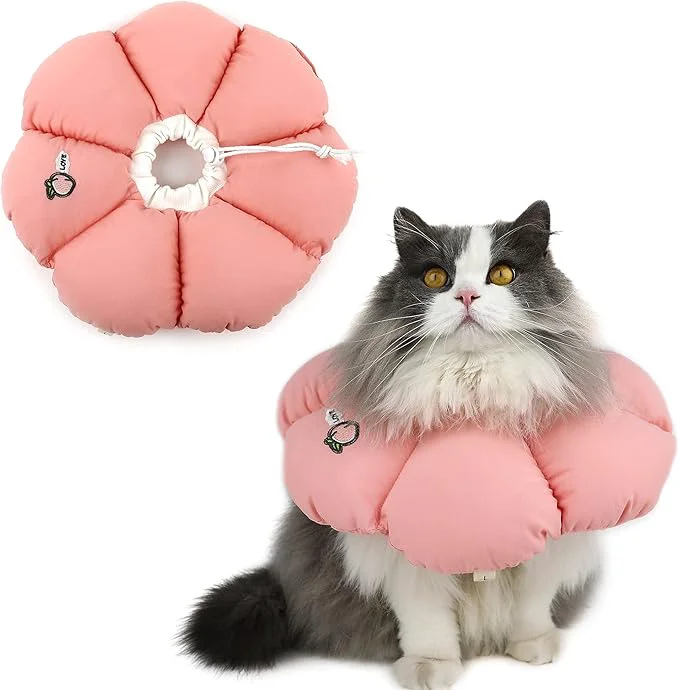 Genuine HiDREAM Cat Cone Collar Cute Waterproof Elizabethan e Collar Expertly Made