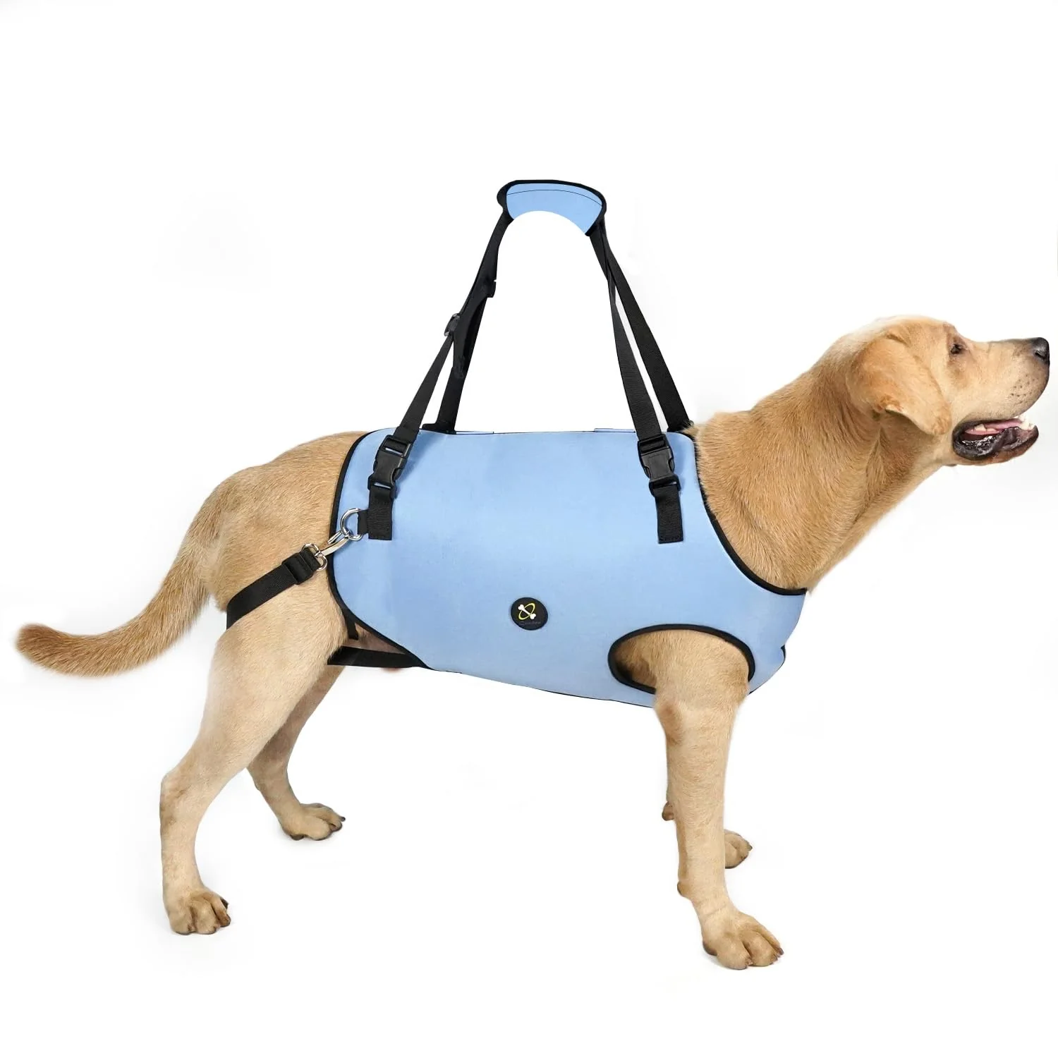 Elegant Coodeo Dog Lift Harness – Adjustable Breathable Support Sling Solid