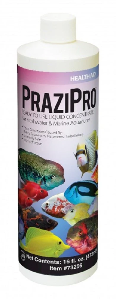 Fine Crafted Hikari Prazipro 16oz — Safe Parasite Treatment for Freshwater Saltwater Aquariums Trendy