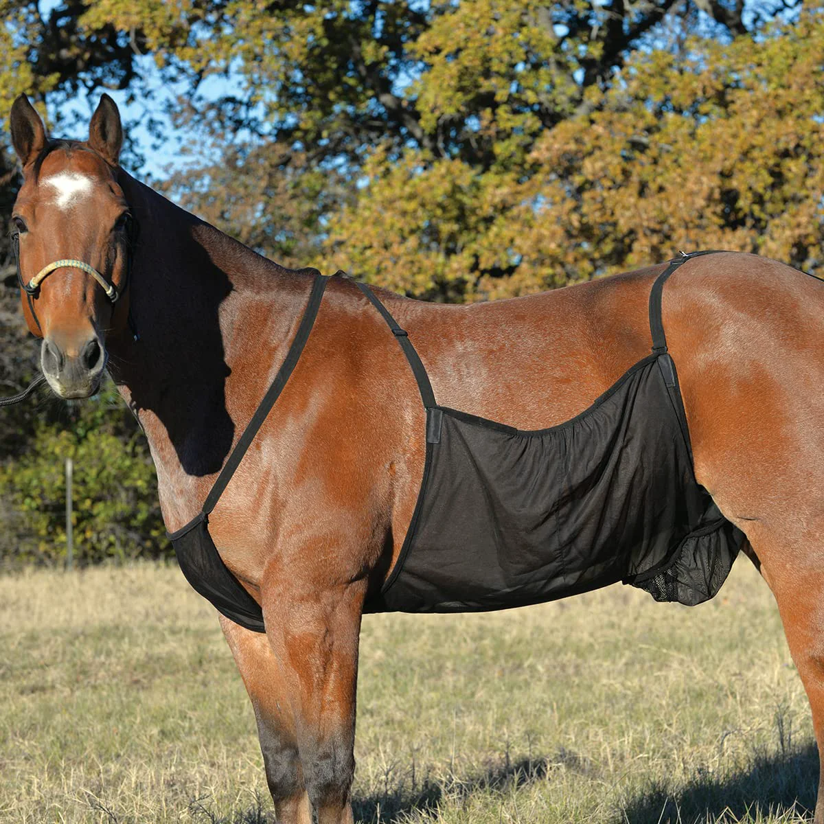 Genuine Cashel Fly Sheet Belly Guard - Large Black Fly Protection for Horses Versatile