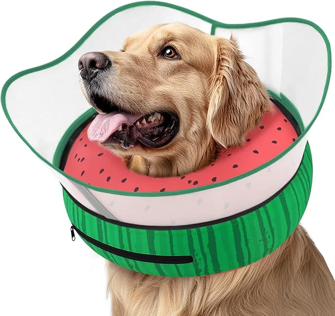 Responsible Supet Raised Inflatable Dog Cone Collar to Stop Licking Soft Dog Cone Fashionable