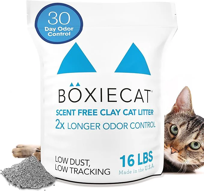 Trendy Boxie Unscented 30 Day Odor Control Clumping Clay Cat Kitty Litter 16 lb 99.9 Dust- Hard Flat Top Clumps No Fragrances No Fillers Long-Lasting Easy to ScoopAbout ThisOverview Practical
