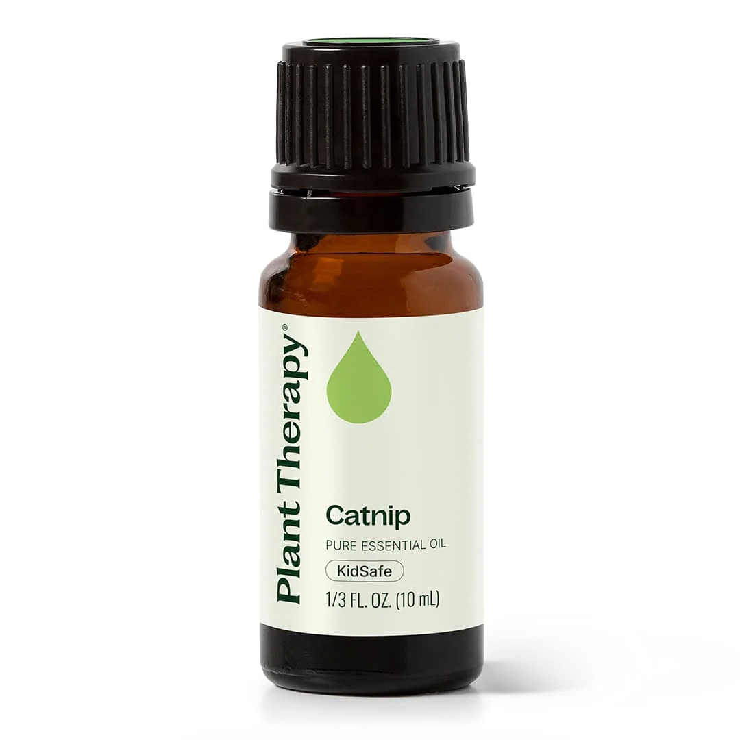 Safe Catnip Essential Oil Refined
