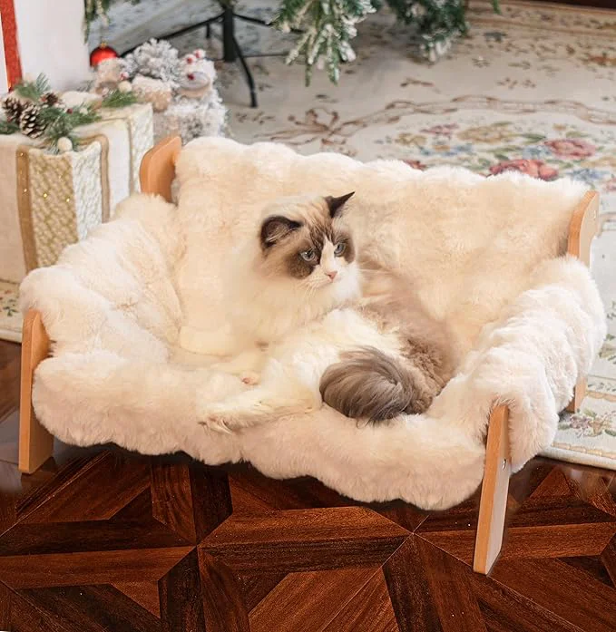 Clean CHEERHOME PETS d Cat Couch Bed for Indoor Cats Wooden Cat Sofa with Removable Washable Fluffy Cover Raised Kitty Lounge Chair Suitable for Puppy Cat Sofa Off-White About ThisOverview Convenient