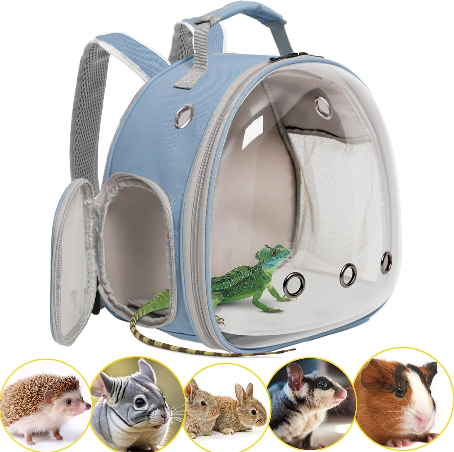 Easy-to-Use Hamster Backpack Carrier Bearded Dragon Carrier Backpack with Clear Bubble Window Small Animal Travel Backpack for Sugar Glider Hedgehog Rat Parrot Airline Blue Backpack Quality