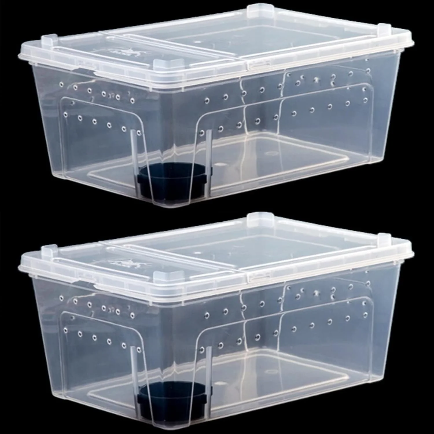 Certified Critter Keeper 2-Pack Cricket Cage Reptile Feeding Box 12.59 x8.66 x5.9 Transparent Portable Plastic Snake Habitat Escape-Proof Ventilated Design for Gecko Tarantula Scorpion Spider Frog Consistent