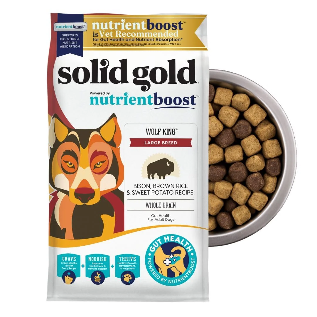 Versatile Solid Gold Bison Dry Dog Food for Large Dogs – High-Protein Kibble Bison Omega-3 22 lb First-Class