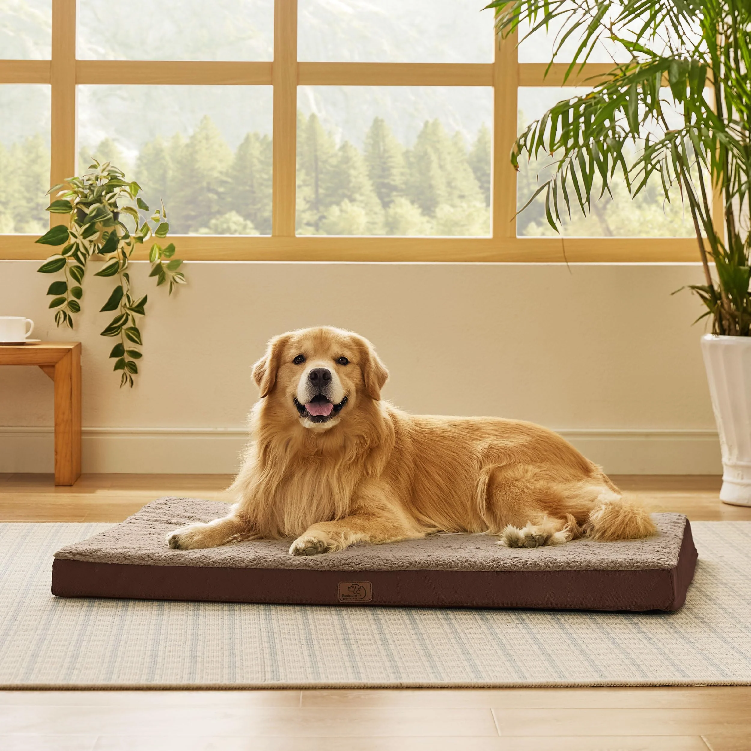 Advanced Bedsure XL Dog Bed – Large Orthopedic Egg Crate Foam Removable Cover Up to 100 lbs Relaxed