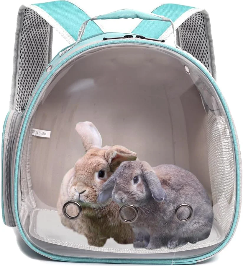 Fine Guinea Pig Backpack Carrier Bearded Dragon Carrier Backpack with Clear Bubble Window Small Animal Travel Backpack for Hedgehog Rat，Chameleon Rabbit Sugar Glider Airline Green Backpack Refined