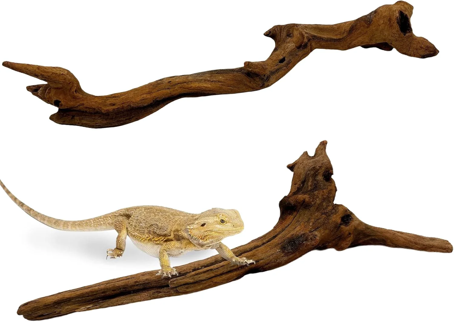 Pure BNOSDM 2PCS Snake Climbing Branches Reptile Natural Coral Driftwood Branches Decor Lizard Habitat Decoration Accessories Terrarium Tree Trunk Ornament for Bearded Dragon Gecko Frog Chameleon Spider Casual