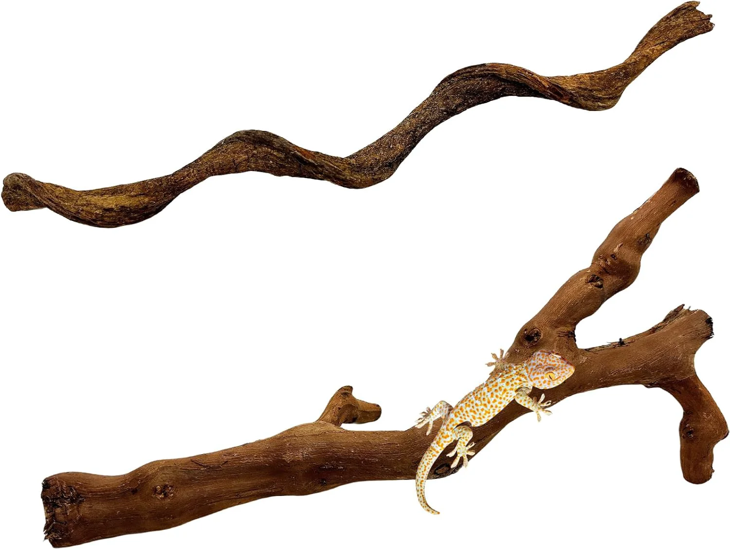 Advanced BNOSDM 2PCS Reptile Wood Branches Snake Climbing Branch Bearded Dragon Climbing Accessories Lizard Habitat Decor Terrarium Tree Trunk Ornament for Gecko Frog Chameleon Spider Lightweight