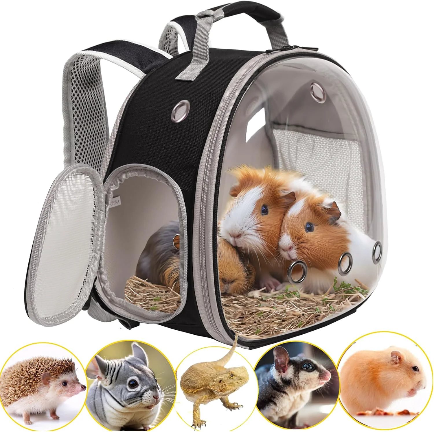 Healthy Guinea Pig Backpack Carrier Bearded Dragon Carrier Backpack with Clear Bubble Window Small Animal Travel Backpack for Hedgehog Rat Parrot Rabbit Sugar Glider Airline Black Backpack Minimalist