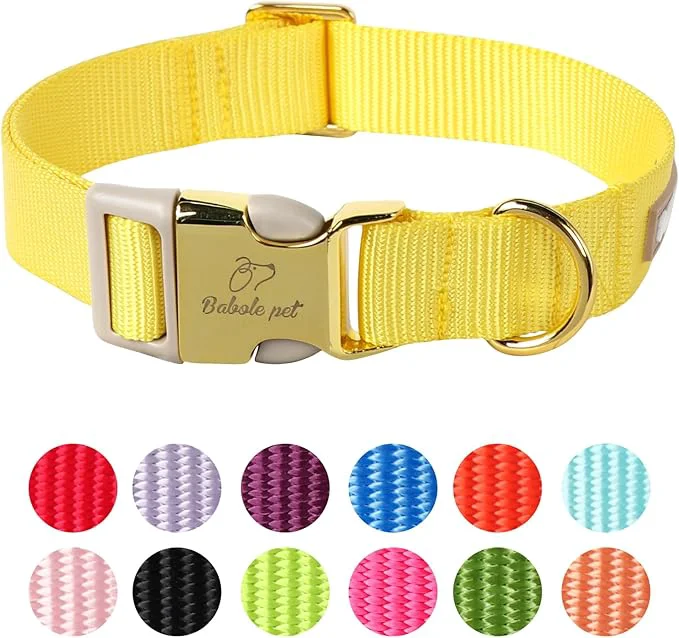 Versatile Nylon Dog Collar Smart