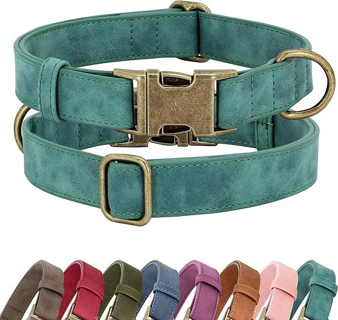 Advanced Didog Soft PU Leather Dog Collar Stylish Quick Released Dog Collar Fashionable