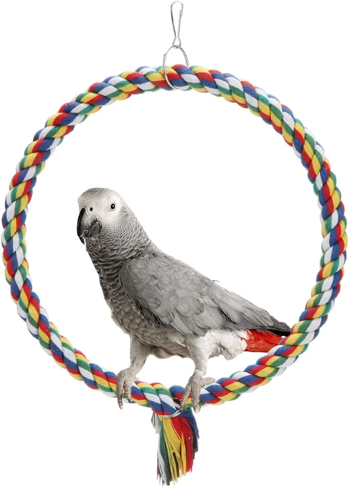 Casual Bird Rope Swing Colorful Perch Climbing Toy Detailed