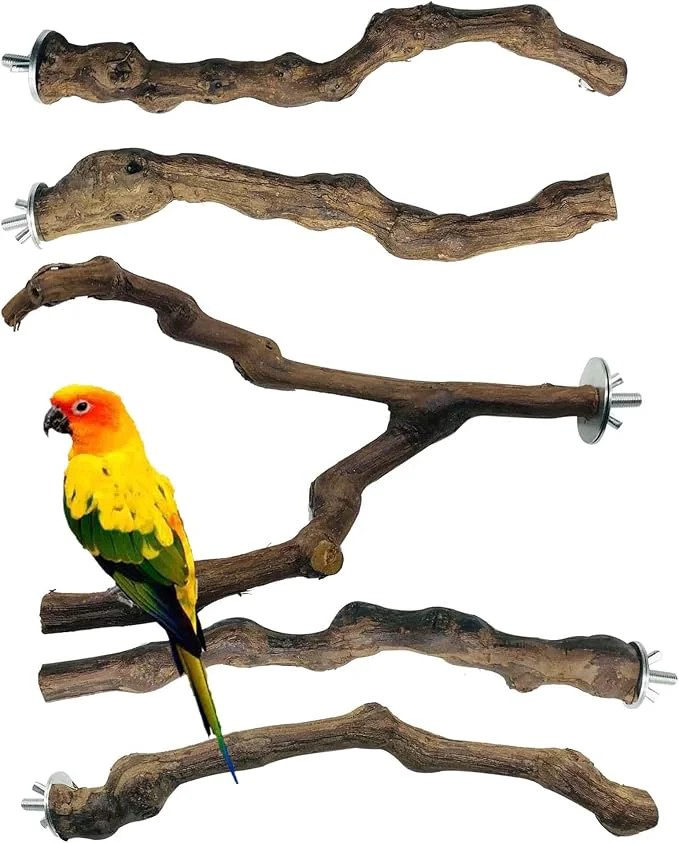 User-Friendly Allazone 5 PCS Natural Grape Stick Perch Swing Chewing Toys Verified