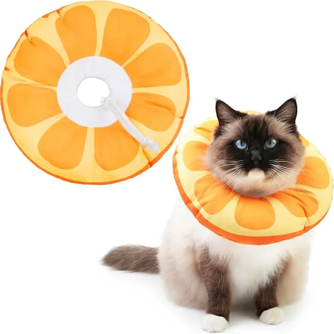 Clean Cat Cone Collar Soft Waterproof Cat Recovery Collar Eco-Friendly