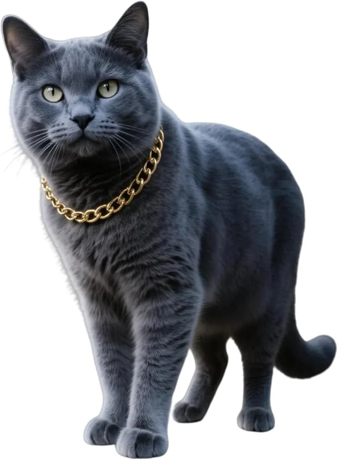 Easy-to-Use Gold Cat Chain Collar Adjustable Cuban Link Necklace Proven
