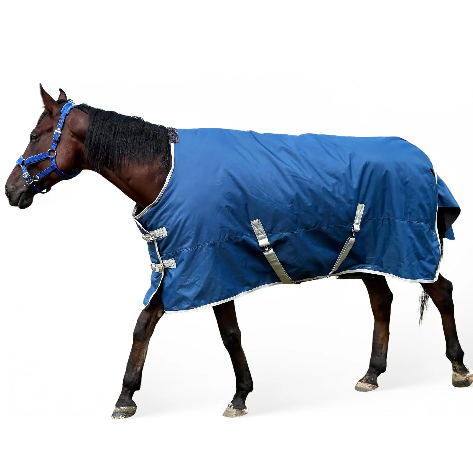 Organic XUANNIAO Winter 1200D Premium Turnout Horse Blanket Medium Weight Waterproof Advanced