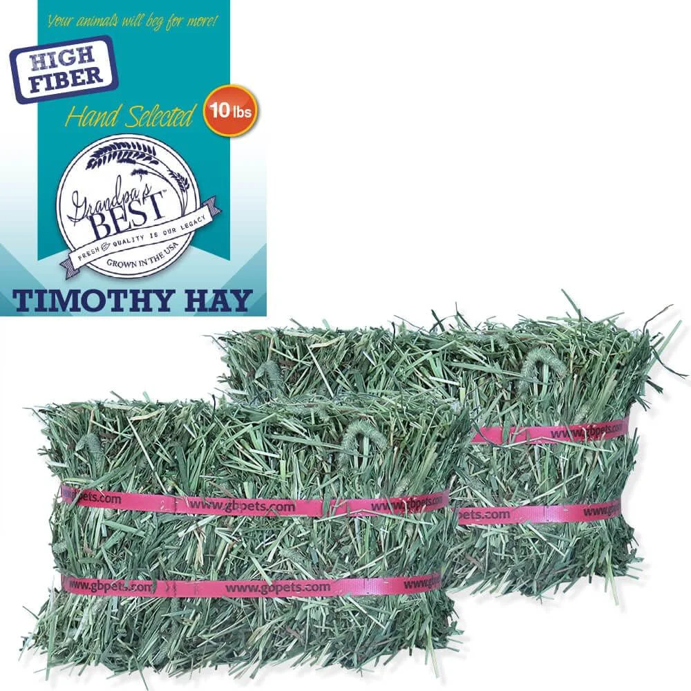 Clean Grandpa's Timothy Hay Mini Bale 10 Lbs Packaging may vary Brown Exclusive