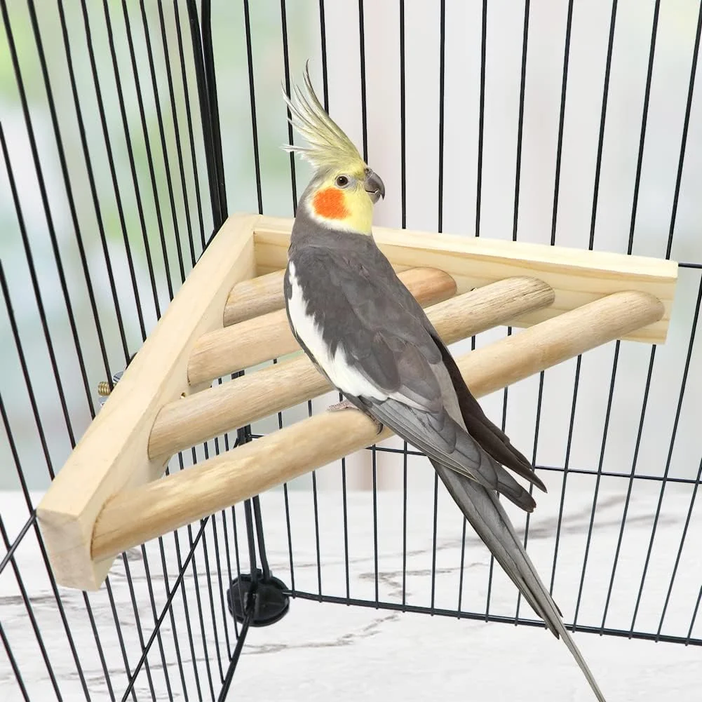 Artisan Litewoo Bird Perch Corner Platform Stand Shelf for Birds Budgie Parakeet Cockatiel Conure Cockatoo（Ladder） Next-Generation