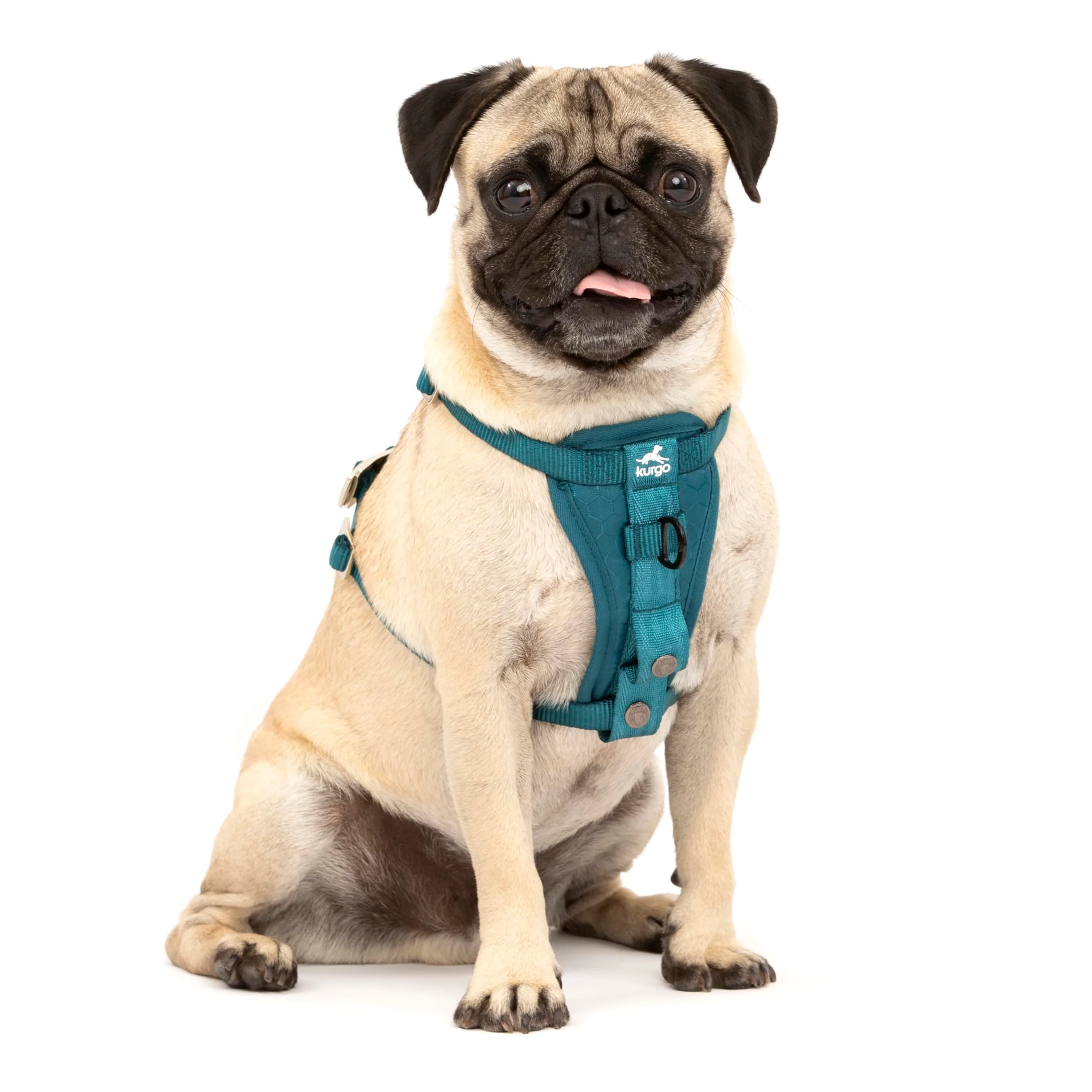 Kurgo Enhanced Strength Tru-Fit Dog Car Harness - Five-Point Crash-Tested Ink Blue Small Convenient