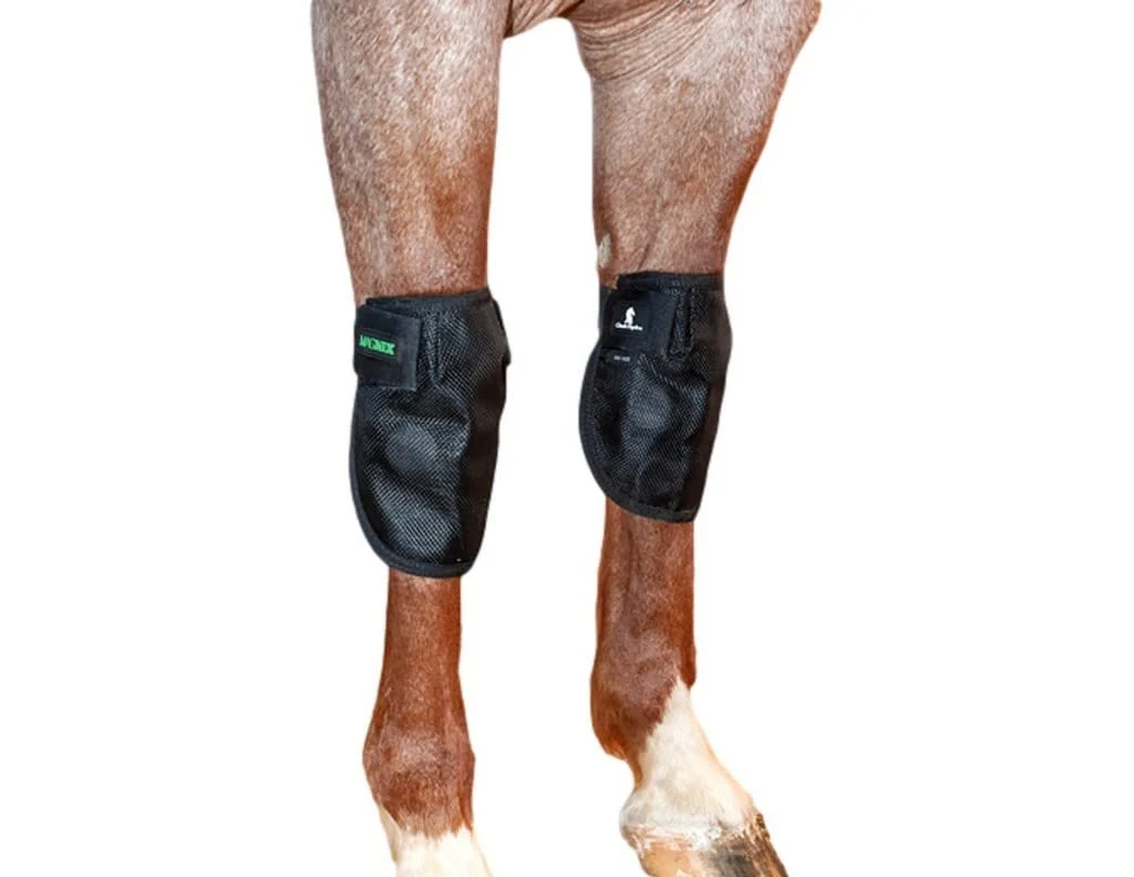 Powerful Classic Equine MagNTX Knee Wrap – Magnetic Therapy for Knee Support and Healthy Joints High-End