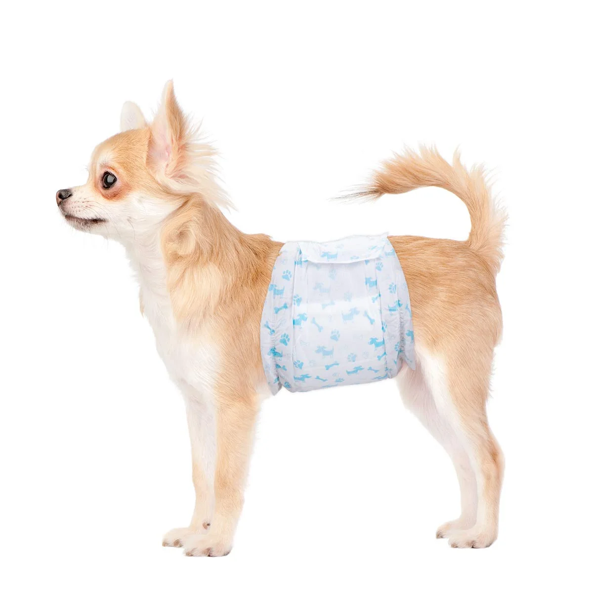 Practical Flying Paws Male Dog Diapers – Absorbent Belly Bands for Male Dogs Leak Protection Medium 44 Pcs Premium