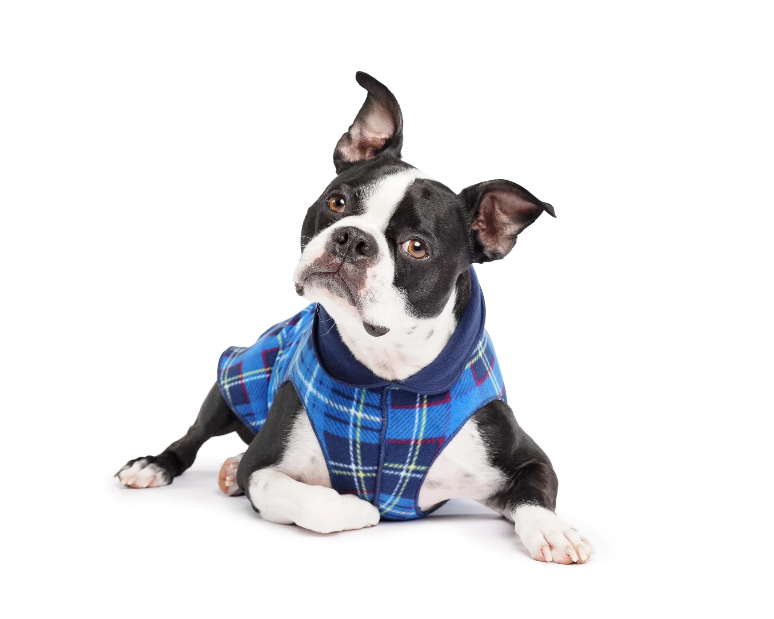 Contemporary Gold Paw Duluth Double Fleece Vest for Small Dogs Blue Plaid Expertly Made