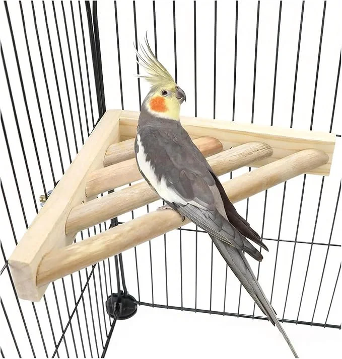 Stylish Litewoo Bird Perch Corner Platform Stand Shelf Organic
