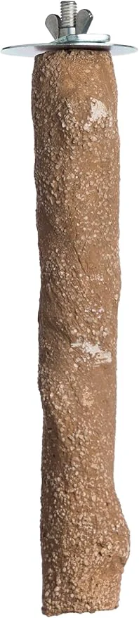 Specialty Prevue Pet Products Pacific Perch Beach Branch Medium 1011 User-Friendly