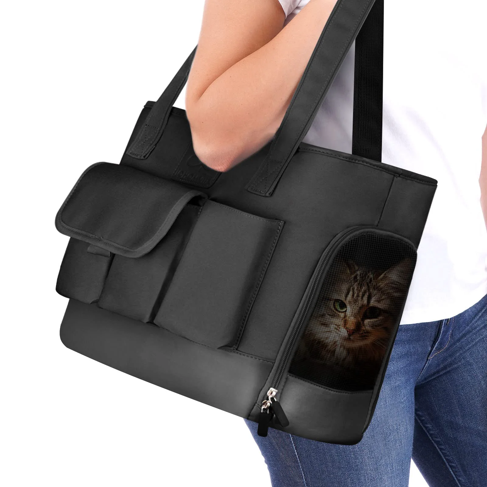 Certified Johomviin Foldable Waterproof Pet Carrier Airline- Soft-Sided Carrier for Cats Small Dogs Excellent