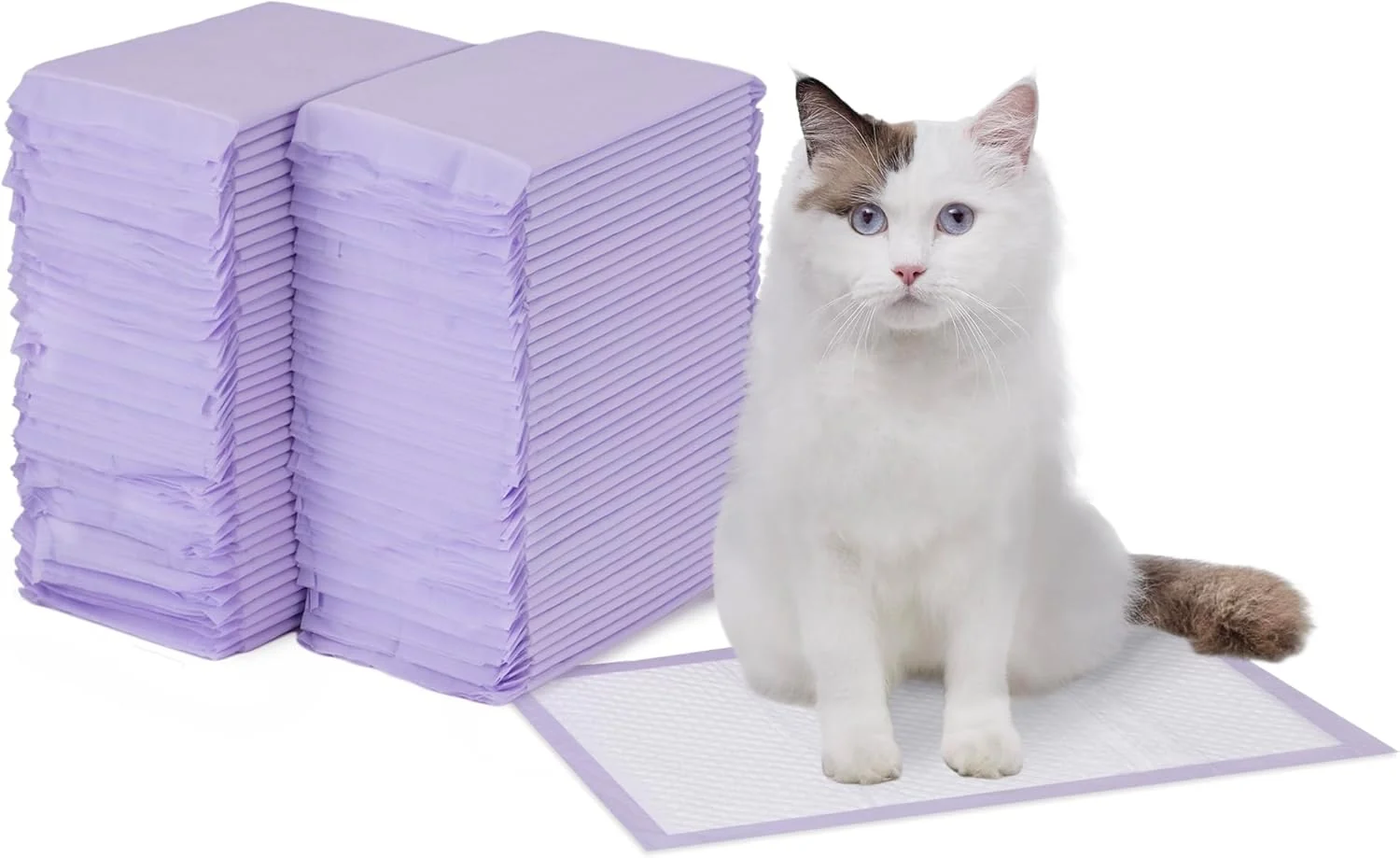 Consistent Amazon Basics Cat Pee Pads 80 Count Universal Fit for Litter Box Odor Control with Lemon Scent White Purple Superior