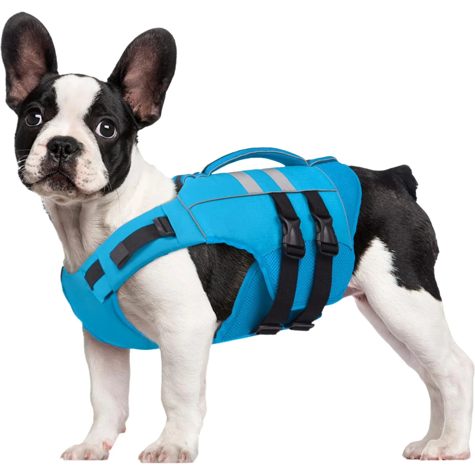 Premium Kuoser Medium Dog Life Jacket - High Flotation Reflective Rescue Vest Blue M Innovative