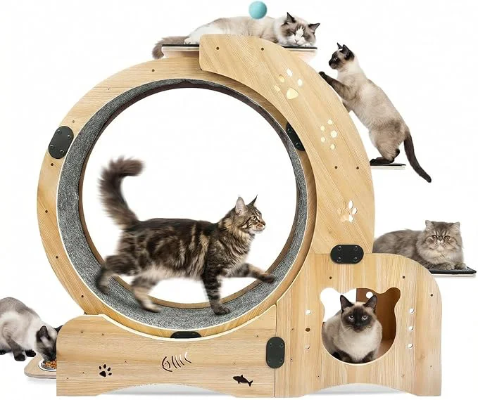 Pure 6-in-1 Cat Exercise Wheel Casual