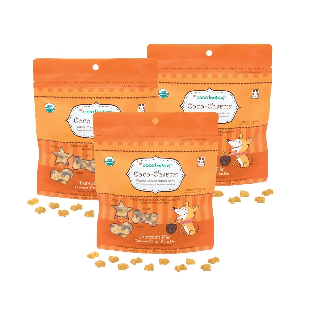 Comfortable CocoTherapy Pumpkin Pie Coco-Charms Training Treats for Dogs – 5 oz – Digestive Health – Made in USA Specialty